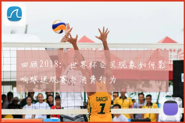 回顾2018:世界杯合买现象如何影响球迷观赛与消费行为