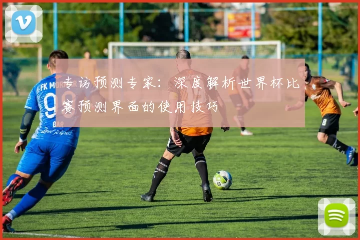 专访预测专家：深度解析世界杯比赛预测界面的使用技巧