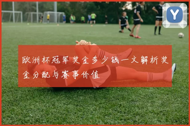 欧洲杯冠军奖金多少钱一文解析奖金分配与赛事价值