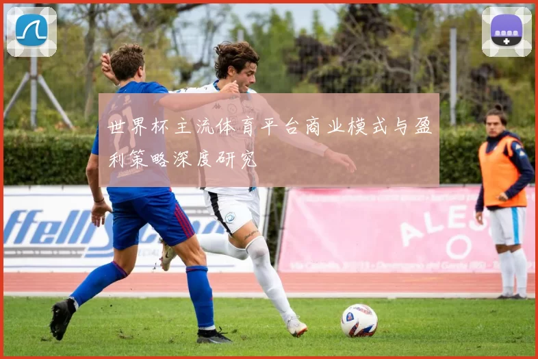 世界杯主流体育平台商业模式与盈利策略深度研究