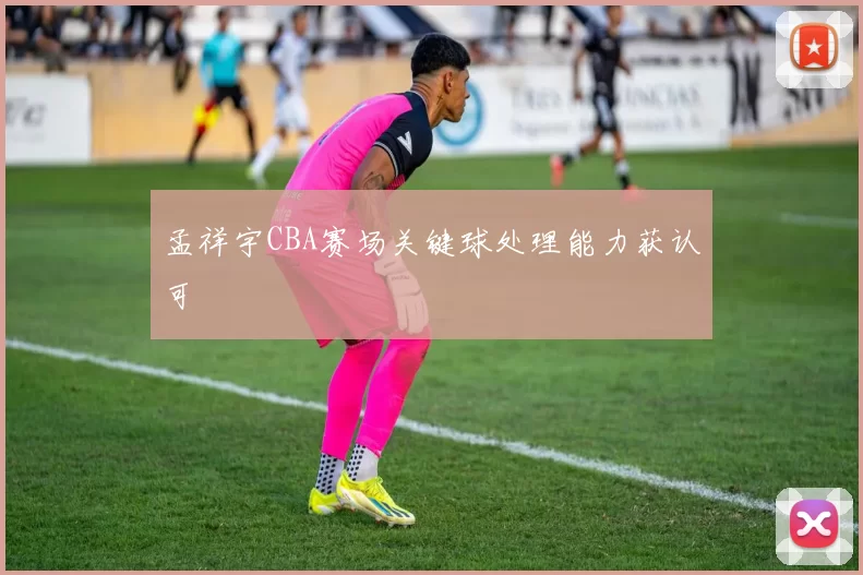 孟祥宇CBA赛场关键球处理能力获认可
