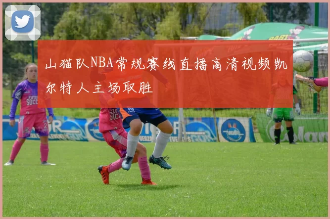 山猫队NBA常规赛线直播高清视频凯尔特人主场取胜