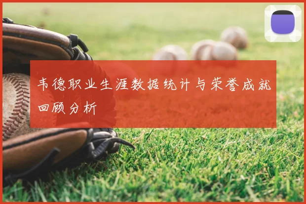 韦德职业生涯数据统计与荣誉成就回顾分析