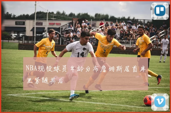 NBA现役球员年龄分布詹姆斯居首库里紧随其后