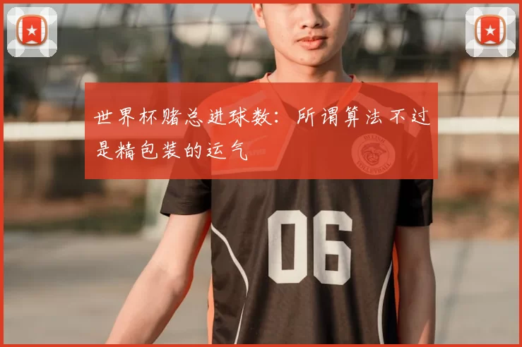 世界杯赌总进球数:所谓算法不过是精包装的运气