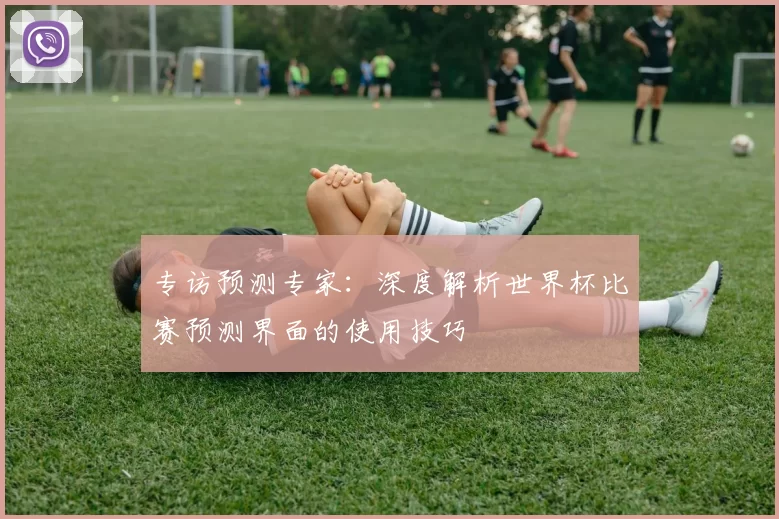 专访预测专家：深度解析世界杯比赛预测界面的使用技巧