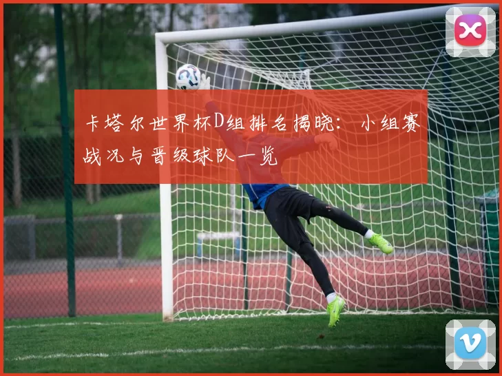 卡塔尔世界杯D组排名揭晓:小组赛战况与晋级球队一览