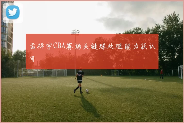 孟祥宇CBA赛场关键球处理能力获认可