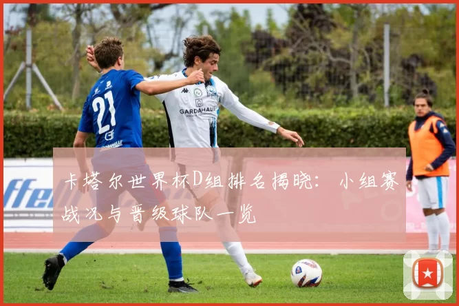 卡塔尔世界杯D组排名揭晓：小组赛战况与晋级球队一览