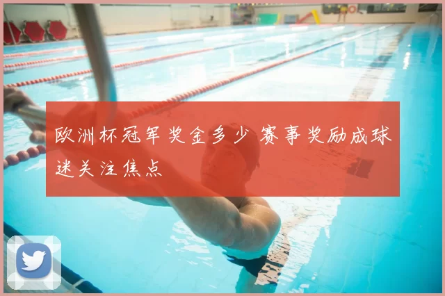 欧洲杯冠军奖金多少 赛事奖励成球迷关注焦点