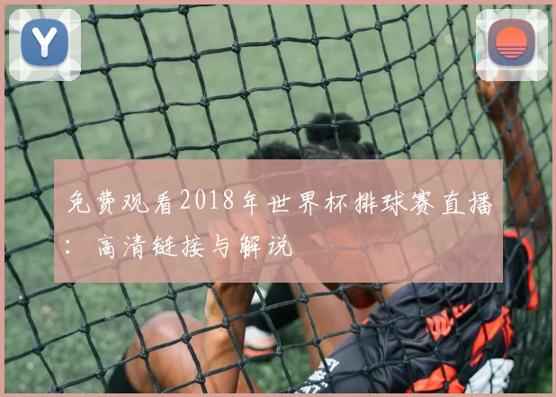 免费观看2018年世界杯排球赛直播：高清链接与解说