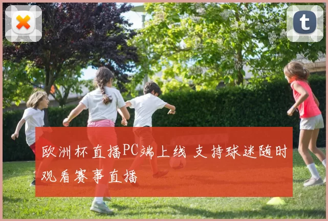 欧洲杯直播PC端上线 支持球迷随时观看赛事直播