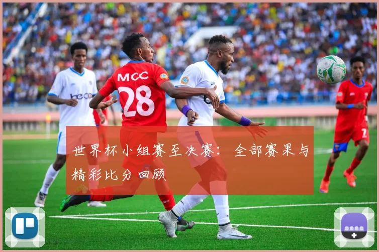 世界杯小组赛至决赛：全部赛果与精彩比分回顾