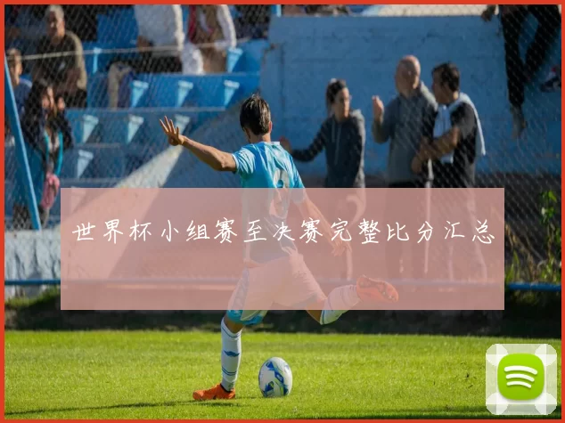 世界杯小组赛至决赛完整比分汇总